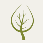 Botanica Morfologica